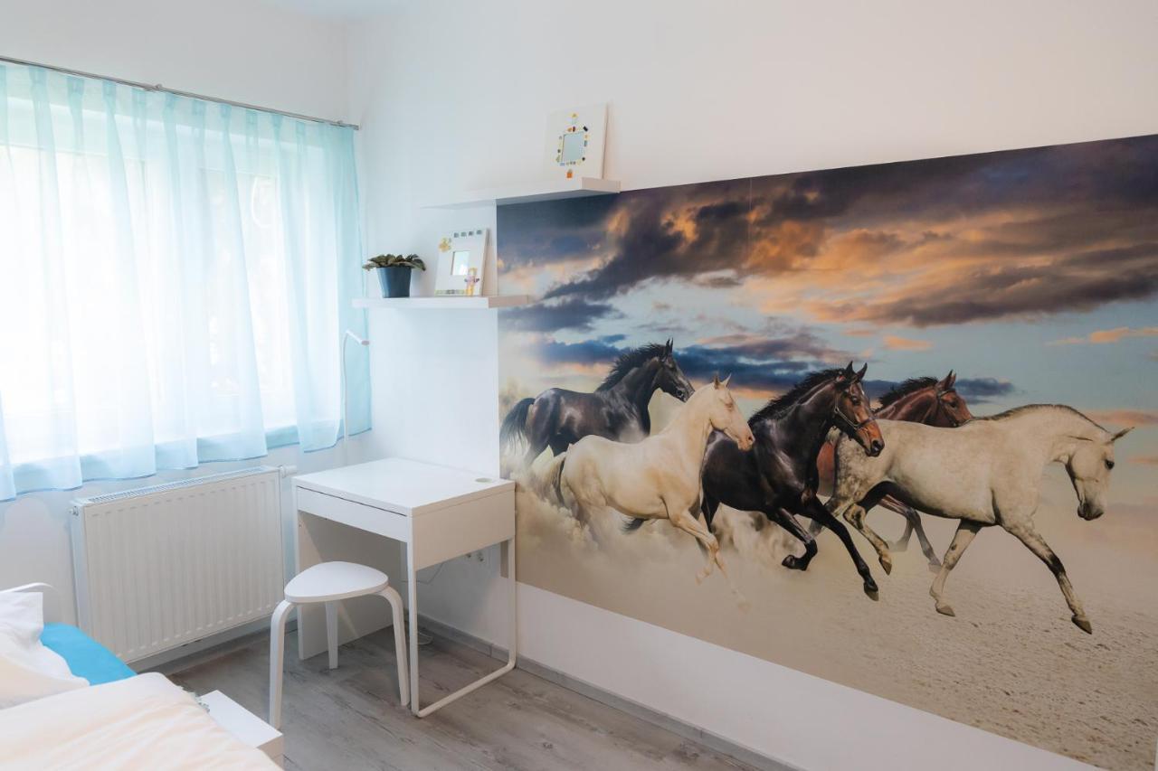 코세그 Tuerkiz Apartman 아파트 외부 사진